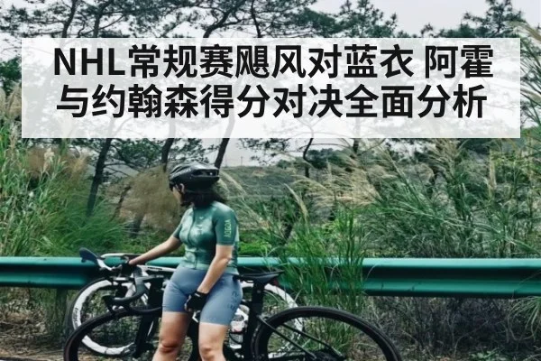 NHL常规赛飓风对蓝衣 阿霍与约翰森得分对决全面分析